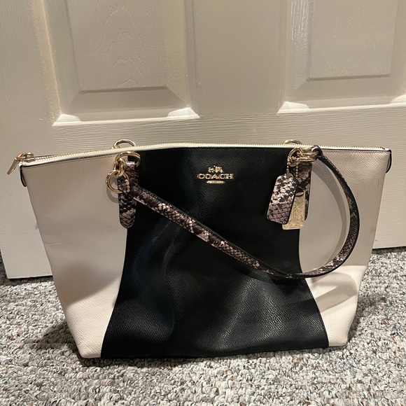 Coach Bag - Picture 1 of 2